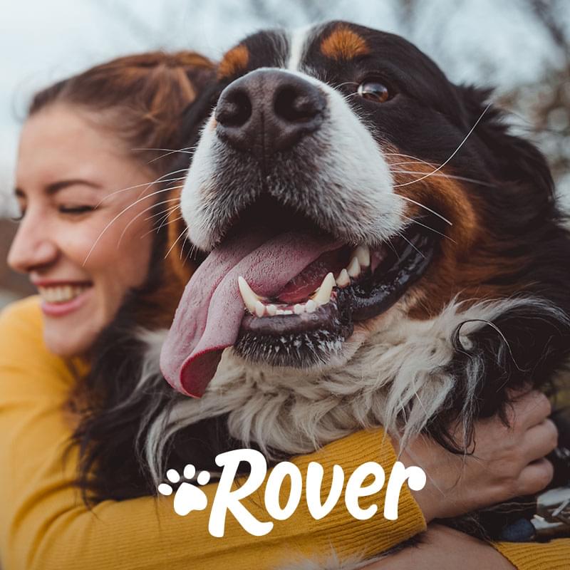 Rover